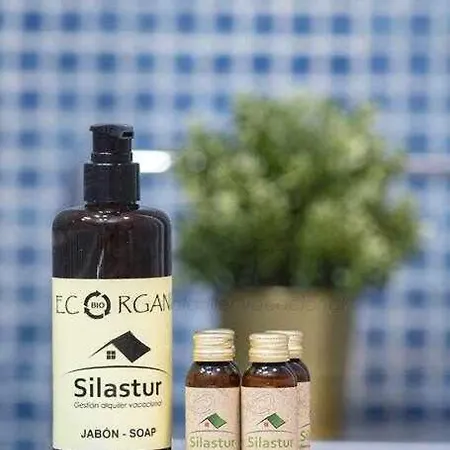 Apartament Brizal By Silastur *