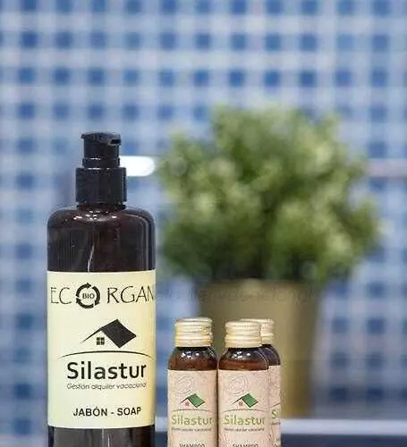 Appartement Brizal By Silastur *